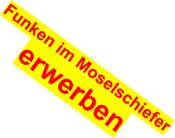 Funken im Moselschiefer erwerben